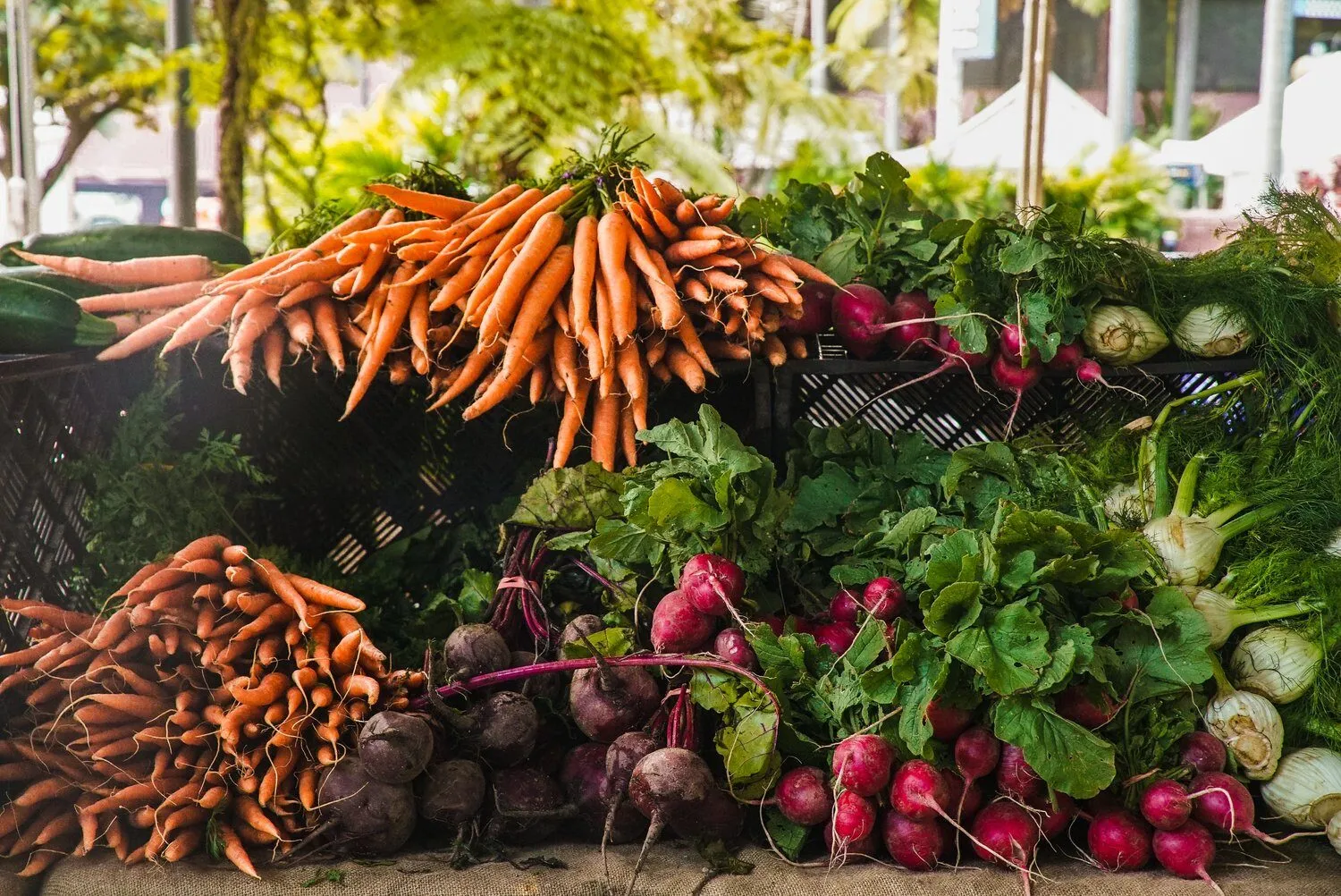 Adding more fruits and veggies to your plate to switch to a vegan diet.